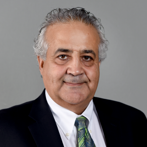 Portrait of Barzin Mobasher